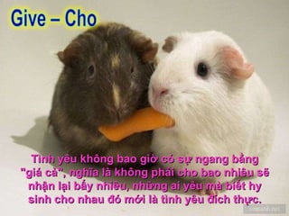 Tình yêu không bao giờ có sự ngang bằng "giá cả", nghĩa là không phải cho bao nhiêu sẽ nhận lại bấy nhiêu, những ai yêu mà biết hy sinh cho nhau đó mới là tình yêu đích thực. 