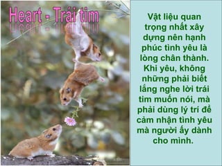 Vật liệu quan trọng nhất xây dựng nên hạnh phúc tình yêu là lòng chân thành. Khi yêu, không những phải biết lắng nghe lời trái tim muốn nói, mà phải dùng lý trí để cảm nhận tình yêu mà người ấy dành cho mình.  