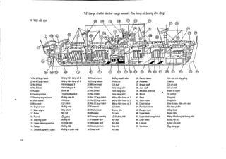 1 .2 Large shelter decker cargo vessel : Tau hang co boong the r6ng
A Mat cat doc
01

, . ,1

,, E ,

r
m
~ yvw

w

~in u

mss "
.r~ee~~9.e9!J!!1!!le!!7 e~~rEhf+lyN~l999Gh9Tl9E159/~J/hR 14199 YKlMIIRYlg9 N il gkR k!/Vq]~gV

1 . No.5 Cargo hatch
2. No.4 Cargo hatch
3. No .5 Hold
4. No.4 Hold
5. Rudder
6. Docking bridge
7. Steering engine room
8. Shaft tunnel
9. Mainmast
10 . Engine room
11 . Main engine
12 . Boiler
13 . Funnel
14 . Steering room
15 . Upper steering position
16 . Galley
17 . Officer Engineer's cabin

hang so 5
Mieng hdm hang so" 4
Ham hang s6 5
Hdm hang s64
Banh lai
Thugng tang du6i
Buong maylai
Hdm tart
Col CIIIIIII
Buong may
May chinh
N6i hoi
Mieng ham

Gng khoi
Buong lai
Vi trilai tren
Bu6ng bap
Bu6ng sT quan may

18 . Crew's room
19. Dining saloon
20 . Mizzen mast
21 . No .1 Hold
22 . No .2 Hold
23 . No .3 Hold
24 . No .1 Cargo hatch
25 . No .2 Cargo hatch
26 . No .3 Cargo hatch
27. Foremast
28 . Shelter deck
29. Windlass
30 . Tonnage opening
31 . Forepeak tank
32 . Afterpeak tank
33. Double bottom
34 . Deep tank

Bu6ng thuyan vien
Phdng an
Cot du6i
Hdm hang so' 1
Ham hang so 2
Ham hang s6 3
Mieng ham hang s61
Miong I0rn IOug s!i 2
Mieng ham hang so 3
Cot trvoc
Boong the
Tdi neo
Lo do dung tick
Ket mui
Ket duoi
Day d6i
Ket sau

35. Derrick boom
36 . Propeller
37. Ensign staff
38 . Jack staff
39 . Wireless antenna
40 . Winch
41 . Stem
42 . Stern framo
43 . Chain locker
44 . Provision store
45 . Escape trunk
46 . Upper deck
47 . Upperdeck cargo hatch
48 . Chart room
49 . Lifeboat
50 . Ventilator

Cdn cira can daygihng
Chan vit
Cot cd duoi
Cot cd mai
Anten vo tuy6n
Tdi (thing) .
Sting mui
Sting (it 10i
Harn lin neo, ham xich neo
Kho thvcpham
Gieng thWt
Boong tren
Mieng ham hang tai boong tren
Buong hai do
F
Xu6ng chin sinh
Ong thong gib

 