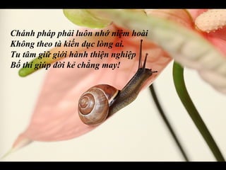 Chánh pháp phải luôn nhớ niệm hoài
Không theo tà kiến dục lòng ai.
Tu tâm giữ giới hành thiện nghiệp
Bố thí giúp đời kẻ chẳng may!
 