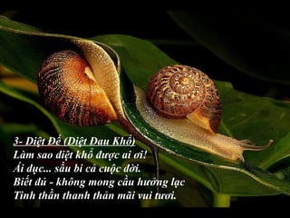 3- Diệt Đế (Diệt Đau Khổ)
Làm sao diệt khổ được ai ơi!
Ái dục... sầu bi cả cuộc đời.
Biết đủ - không mong cầu hưởng lạc
Tinh thần thanh thản mãi vui tươi.
 