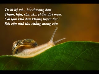 Từ bi hỷ xả... hết thương đau
Tham, hận, sân, si... chấm dứt mau.
Cõi tạm khổ đau không luyến tiếc!
Rời căn nhà lửa chẳng mong cầu
 