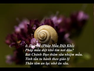 4- Đạo Đế (Pháp Mầu Diệt Khổ)
Pháp mầu diệt khổ tìm nơi đâu?
Bát Chánh Đạo thâm sâu nhiệm mầu.
Tinh tấn tu hành theo giáo lý
Thân tâm an lạc nhớ ân sâu.
 