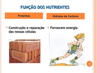 FFUUNNÇÇÃÃOO DDOOSS NNUUTTRRIIEENNTTEESS 
PPrrootteeíínnaass HHiiddrraattooss ddee CCaarrbboonnoo 
 CCoonnssttrruuççããoo ee rreeppaarraaççããoo 
ddaass nnoossssaass ccéélluullaass 
 FFoorrnneecceemm eenneerrggiiaa 
10 
 