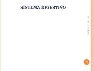 SSIISSTTEEMMAA DDIIGGEESSTTIIVVOO 
25-11-14 
Carlos Palma 
27 
 