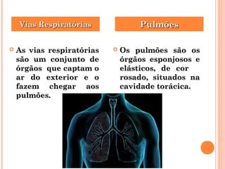 VViiaass RReessppiirraattóórriiaass PPuullmmõõeess 
 AAss vviiaass rreessppiirraattóórriiaass 
ssããoo uumm ccoonnjjuunnttoo ddee 
óórrggããooss qquuee ccaappttaamm oo 
aarr ddoo eexxtteerriioorr ee oo 
ffaazzeemm cchheeggaarr aaooss 
ppuullmmõõeess.. 
 OOss ppuullmmõõeess ssããoo ooss 
óórrggããooss eessppoonnjjoossooss ee 
eelláássttiiccooss,, ddee ccoorr 
rroossaaddoo,, ssiittuuaaddooss nnaa 
ccaavviiddaaddee ttoorráácciiccaa.. 
 