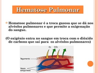 HHeemmaattoossee PPuullmmoonnaarr 
 Hematose pulmonar é a troca ggaassoossaa qquuee ssee ddáá nnooss 
aallvvééoollooss ppuullmmoonnaarreess ee qquuee ppeerrmmiittee aa ooxxiiggeennaaççããoo 
ddoo ssaanngguuee.. 
((OO ooxxiiggéénniioo eennttrraa nnoo ssaanngguuee eemm ttrrooccaa ccoomm oo ddiióóxxiiddoo 
ddee ccaarrbboonnoo qquuee ssaaii ppaarraa ooss aallvvééoollooss ppuullmmoonnaarreess)) 
 