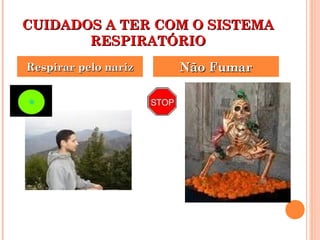 CCUUIIDDAADDOOSS AA TTEERR CCOOMM OO SSIISSTTEEMMAA 
RREESSPPIIRRAATTÓÓRRIIOO 
RReessppiirraarr ppeelloo nnaarriizz NNããoo FFuummaarr 
 