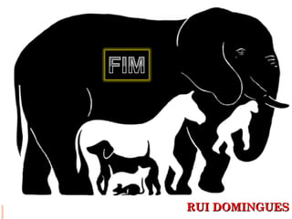 RRUUII DDOOMMIINNGGUUEESS 
