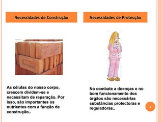 NNeecceessssiiddaaddeess ddee CCoonnssttrruuççããoo NNeecceessssiiddaaddeess ddee PPrrootteeccççããoo 
AAss ccéélluullaass ddoo nnoossssoo ccoorrppoo,, 
ccrreesscceemm ddiivviiddeemm--ssee ee 
nneecceessssiittaamm ddee rreeppaarraaççããoo.. PPoorr 
iissssoo,, ssããoo iimmppoorrttaanntteess ooss 
nnuuttrriieenntteess ccoomm aa ffuunnççããoo ddee 
ccoonnssttrruuççããoo.... 
NNoo ccoommbbaattee aa ddooeennççaass ee nnoo 
bboomm ffuunncciioonnaammeennttoo ddooss 
óórrggããooss ssããoo nneecceessssáárriiaass 
ssuubbssttâânncciiaass pprrootteeccttoorraass ee 
rreegguullaaddoorraass.... 4 
 