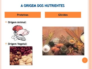 AA OORRIIGGEEMM DDOOSS NNUUTTRRIIEENNTTEESS 
PPrrootteeíínnaass GGllíícciiddooss 
 OOrriiggeemm AAnniimmaall:: 
 OOrriiggeemm VVeeggeettaall:: 
7 
 