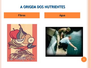 AA OORRIIGGEEMM DDOOSS NNUUTTRRIIEENNTTEESS 
FFiibbrraass ÁÁgguuaa 
9 
 