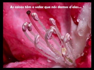 As coisas têm o valor que nós damos a elas... 