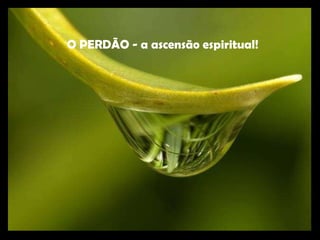 O PERDÃO - a ascensão espiritual! 