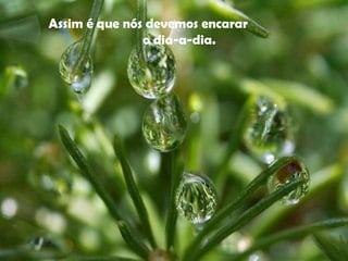 Assim é que nós devemos encarar  o dia-a-dia.    