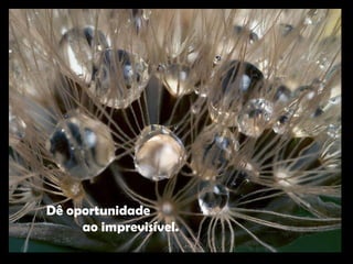 Dê oportunidade  ao imprevisível. 