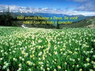 Não adianta buscar a Deus, Se você  não o fizer de todo o coração! 