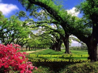 Não adianta pregar que Jesus está vivo, Se você não vive o que prega. 