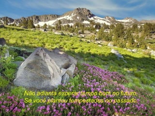 Não adianta esperar tempo bom no futuro,
Se você plantou tempestades no passado.
 