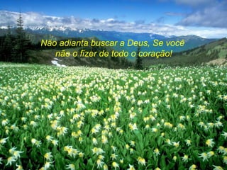 Não adianta buscar a Deus, Se você
   não o fizer de todo o coração!
 