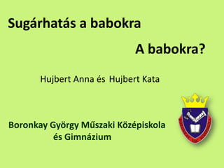 Sugárhatás a babokra
Hujbert Anna és Hujbert Kata
Boronkay György Műszaki Középiskola
és Gimnázium
A babokra?
 