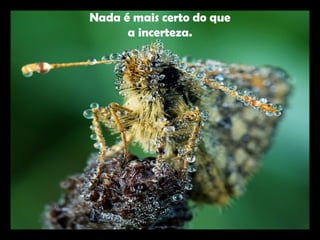 Nada é mais certo do que
a incerteza.
 