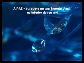 A PAZ -  busque-a na sua Energia Vital,
no interior do seu ser!
 