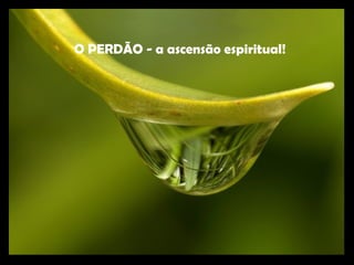 O PERDÃO - a ascensão espiritual!
 