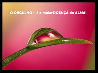 O ORGULHO – é a maior DOENÇA da ALMA! 
 