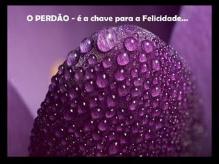 O PERDÃO - é a chave para a Felicidade...
 