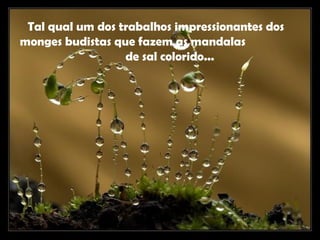 Tal qual um dos trabalhos impressionantes dos
monges budistas que fazem as mandalas
de sal colorido...
 