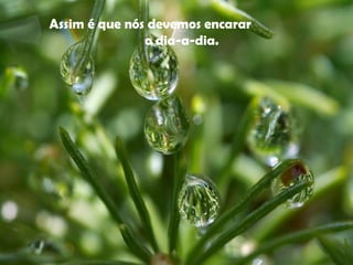 Assim é que nós devemos encarar
o dia-a-dia. 
 