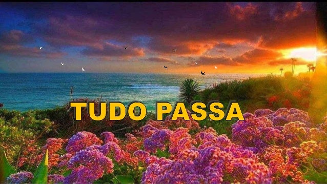 Imagem relacionada