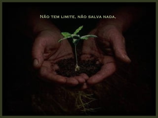 Não tem limite, não salva nada, 