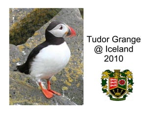 Tudor Grange @ Iceland 2010 