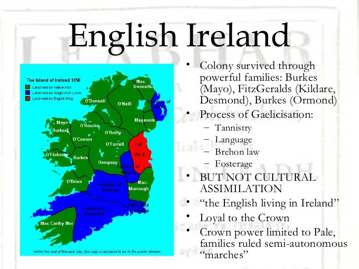 TUDOR AND GAELIC IRELAND IN THE 17th CENTURY