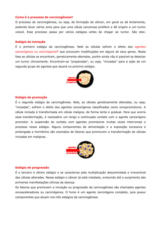 Como é o processo de carcinogênese?
O processo de carcinogênese, ou seja, de formação de câncer, em geral se dá lentamente,
podendo levar vários anos para que uma célula cancerosa prolifere e dê origem a um tumor
visível. Esse processo passa por vários estágios antes de chegar ao tumor. São eles:
Estágio de iniciação
É o primeiro estágio da carcinogênese. Nele as células sofrem o efeito dos agentes
cancerígenos ou carcinógenos* que provocam modificações em alguns de seus genes. Nesta
fase as células se encontram, geneticamente alteradas, porém ainda não é possível se detectar
um tumor clinicamente. Encontram-se "preparadas", ou seja, "iniciadas" para a ação de um
segundo grupo de agentes que atuará no próximo estágio.

Estágio de promoção
É o segundo estágio da carcinogênese. Nele, as células geneticamente alteradas, ou seja,
"iniciadas", sofrem o efeito dos agentes cancerígenos classificados como oncopromotores. A
célula iniciada é transformada em célula maligna, de forma lenta e gradual. Para que ocorra
essa transformação, é necessário um longo e continuado contato com o agente cancerígeno
promotor. A suspensão do contato com agentes promotores muitas vezes interrompe o
processo nesse estágio. Alguns componentes da alimentação e a exposição excessiva e
prolongada a hormônios são exemplos de fatores que promovem a transformação de células
iniciadas em malignas.

Estágio de progressão
É o terceiro e último estágio e se caracteriza pela multiplicação descontrolada e irreversível
das células alteradas. Nesse estágio o câncer já está instalado, evoluindo até o surgimento das
primeiras manifestações clínicas da doença.
Os fatores que promovem a iniciação ou progressão da carcinogênese são chamados agentes
oncoaceleradores ou carcinógenos. O fumo é um agente carcinógeno completo, pois possui
componentes que atuam nos três estágios da carcinogênese.

 
