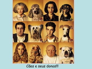 Cães e seus donos!!!
 