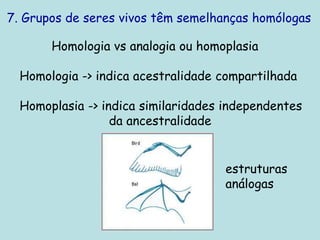 7. Grupos de seres vivos têm semelhanças homólogas
Homologia vs analogia ou homoplasia
Homologia -> indica acestralidade compartilhada
Homoplasia -> indica similaridades independentes
da ancestralidade
estruturas
análogas
 