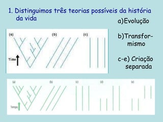 1. Distinguimos três teorias possíveis da história
da vida a)Evolução
b)Transfor-
mismo
c-e) Criação
separada
 