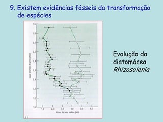 9. Existem evidências fósseis da transformação
de espécies
Evolução da
diatomácea
Rhizosolenia
 