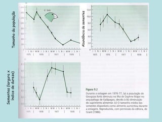 Tamanhodapopulação
Sementes(largurax
índicededureza)
Abundânciadesementes
 