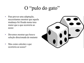 O “pulo do gato”
• Para provar uma adaptação,
necessitamos mostrar que aquela
mudança foi fixada numa taxa
maior que a que ocorreria ao
acaso
• Devemos mostrar que houve
seleção direcionada do mutante
• Mas como calcular o que
ocorreria ao acaso?
 
