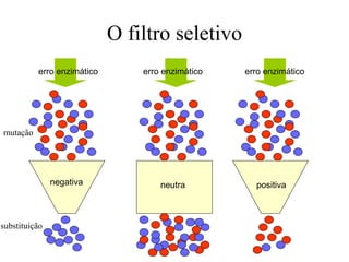 O filtro seletivo
mutação
substituição
negativa neutra positiva
erro enzimático erro enzimático erro enzimático
 