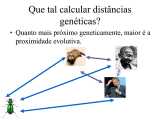 Que tal calcular distâncias
genéticas?
• Quanto mais próximo geneticamente, maior é a
proximidade evolutiva.
 