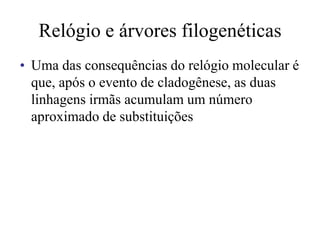 Relógio e árvores filogenéticas
• Uma das consequências do relógio molecular é
que, após o evento de cladogênese, as duas
linhagens irmãs acumulam um número
aproximado de substituições
 