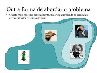 Outra forma de abordar o problema
• Quanto mais próximo genéticamente, maior é a quantidade de caracteres
compartilhados nos sítios do gene
 