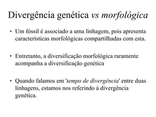 Divergência genética vs morfológica
• Um fóssil é associado a uma linhagem, pois apresenta
características morfológicas compartilhadas com esta.
• Entretanto, a diversificação morfológica raramente
acompanha a diversificação genética
• Quando falamos em 'tempo de divergência' entre duas
linhagens, estamos nos referindo à divergência
genética.
 