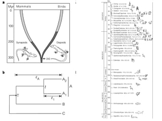 Evolução Molecular