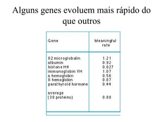 Alguns genes evoluem mais rápido do
que outros
 